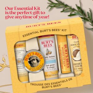 کیت لوسیون بدن Burts Bees
