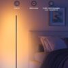 فلور لامپ گُوی Govee rgbic floor lamp