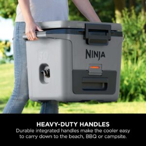 یخچال سفری Ninja