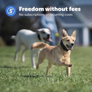 سیستم حصار GPS PetSafe Guardian پت سیف