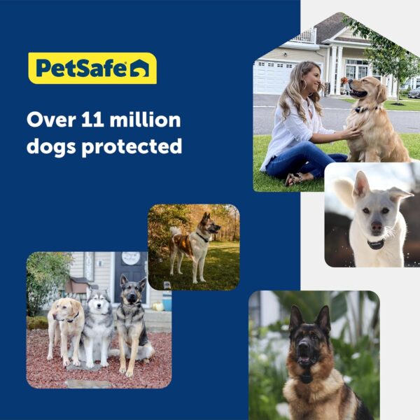 سیستم حصار زیرزمینی PetSafe پت سیف