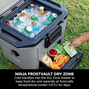 یخچال سفری Ninja