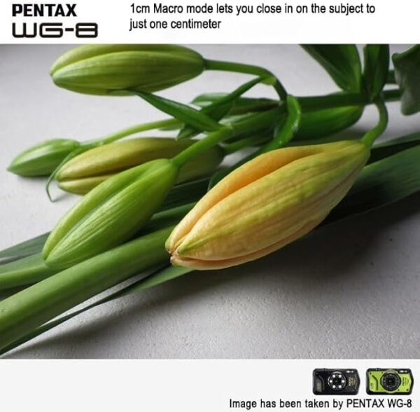 دوربین عکاسی پنتکس PENTAX WG-8