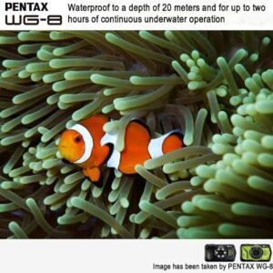 دوربین عکاسی پنتکس PENTAX WG-8