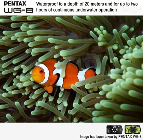 دوربین عکاسی پنتکس PENTAX WG-8